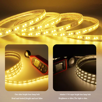 Lampu Strip LED 220V High Lumen Luz 5730 Baris Ganda 120LED 100m/Roll IP67 Tahan Air Pencahayaan Lanskap Luar Ruangan Merah Biru Hijau