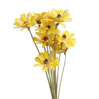 Graines de melon décoratives, nouveauté, vente en gros, sèches naturelles, fleurs et plantes séchées