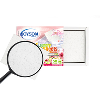 Feuille naturelle pure biodégradable qui respecte l'environnement de détergent de blanchisserie d'usine avec l'enzyme