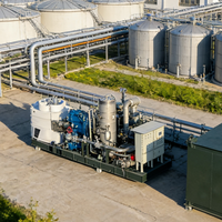 Sistema de Mejora de Biogás por Separación de Membranas Rentable para Generación de Energía