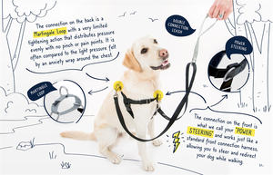 Tali dan kekang anjing peliharaan mewah, Set tali dan kekang anjing untuk anjing peliharaan, mudah berjalan, kustom, Logo, tanpa tarik - Product Image 5