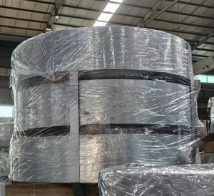 Bande galvanisée haute résistance EN 10142 S300GD G60 durable pour la fabrication de pièces d'équipements agricoles - Product Image 4