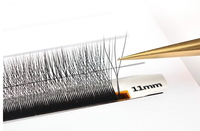 Extension de cils de vison de marque de distributeur OEM ventilateurs 2D 3D 4D 5D W cils synthétiques épais faits à la main 15mm C/D 12mm 7mm