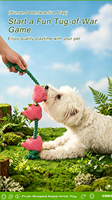 Interactief knoopspeeltje voor huisdieren met een fruitvormige geluidsgenerator, geschikt voor binnen spelen