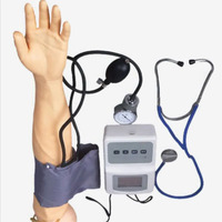 Simulador de medición de presión arterial de brazo maniquí de PVC de ciencia médica para modelo de inyección de entrenamiento humano