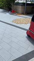 Dalles de granit poli gris foncé G654 de Chine haute densité, modernes, grandes dimensions, pour pavage extérieur et façades, garantie 1 an, vente en gros, export