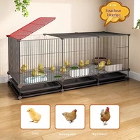 Cage en fil de fer pour l'élevage de poussins et de cailles, conception anti-évasion, grand espace pouvant accueillir 30 à 80 cailles roux, utilisable toute l'année