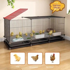 Cage en fil de fer pour l'élevage de poussins et de cailles, conception anti-évasion, grand espace pouvant accueillir 30 à 80 cailles roux, utilisable toute l'année - Product Image 2