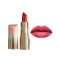 Rouge à lèvres Vagen, maquillage, rouge à lèvres mat imperméable, vente en gros, rouge à lèvres sans marque, avec étiquette privée personnalisée