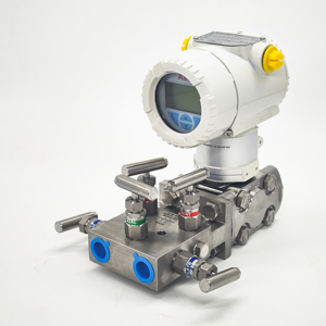 <strong>ABB</strong> 2600T Series Differential Pressure <strong>Transmitter</strong> Digital Hart Pressure <strong>Transmitters</strong> - Product Image 6