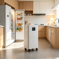 Batería Lifepo4 Todo en Uno para Almacenamiento de Energía Solar, Sistema de Almacenamiento de Energía Solar, Paquete de Baterías de Litio Lifepo4, Almacenamiento de Energía Doméstica