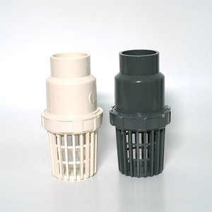 Válvula de Retención de PVC Tipo Canasta Miniatura Anti-Reflujo para Sistema de Tuberías de Agua - Product Image 1