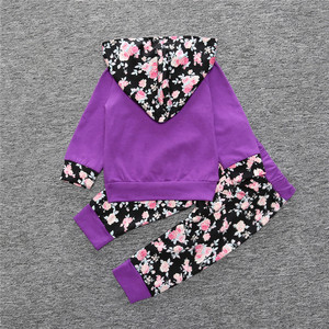 Sudaderas con Capucha de Flores para Bebés al por Mayor, Conjunto de Ropa de 2 Piezas para Niñas, Ropa Infantil de Calidad - Product Image 4