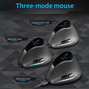 Souris sans fil verticale ZELOTES F-35C, silencieuse, RGB programmable, ergonomique, rétroéclairée, optique, pour ordinateur - Product Image 5
