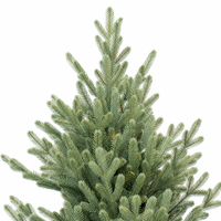 Sapin de Noël artificiel en épicéa bleu nordique de 7 pieds, réaliste, vert sauge, en PE et PVC, avec support métallique pour la décoration de la maison