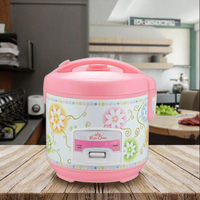 Cuisinière à riz électrique nationale 500W, boîtier en plastique, cuve antiadhésive, écologique