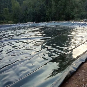 HDPE LDPE LLDPE 1mm 1.5mm 2mm nhựa đập lót Ao Cá Ao tôm trang trại bãi rác biodigester geomembrane hiện đại - Product Image 5