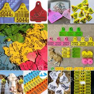 Macchina per Marcatura Laser a Fibra Raycus 30W 50W per Orecchini per Bestiame con Campo di Lavoro 300*300mm - Product Image 4