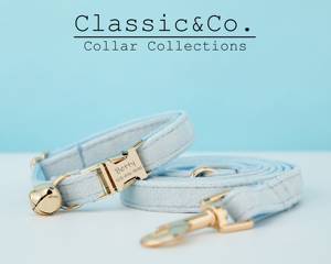 Collar y Correa Personalizados Lightblue Veet para Gatos y Perros Pequeños con Lazo, Placa Grabada Gratuita con Nombre para Gatitos y Cachorros, Campana Dorada, Regalo de Cumpleaños para Mascotas - Product Image 3