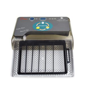 Incubateur d'œufs miniature 12 places le plus vendu pour œufs de canaris et de reptiles avec contrôle intelligent de la température, éclosoir automatique 40W - Product Image 1