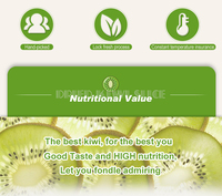 Jumbo Ronde Gedroogde Gele Kiwi Zoete Gezonde Snack Natuurlijk Gedroogd Fruit Koel Droog Opbergen Bulkverpakking