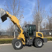 Chargeur frontal pour tracteur de jardin de 2-3 tonnes, mini-chargeuse sur pneus avec godet de 1,1 m³, moteur Weichai et roulement