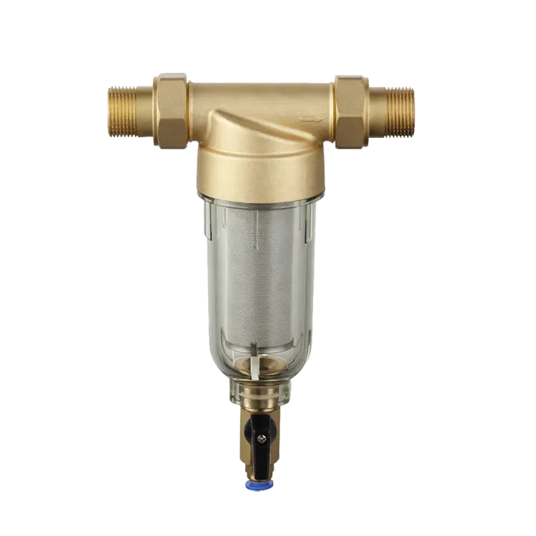 Huishoudelijke Water Filter Manual Borstel Schoonmaken Filtratie Belangrijkste Lijn Water Pre Filter