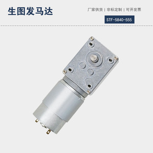 มอเตอร์เกียร์ดีซี Stf-5840-555 24V 36V แม่เหล็กถาวร แบบแปรงถ่าน ติดตั้งแบบหน้าแปลน ปิดมิดชิด แรงบิดสูง ล็อคตัวเองได้ - Product Image 3