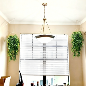 <span class=keywords><strong>Plantes</strong></span> artificielles suspendues LUYI en rotin plastique vert, eucalyptus, <span class=keywords><strong>pour</strong></span> mariage, Thanksgiving, Pâques, décoration murale, écologiques - Product Image 3