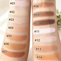 Poudre fixatrice de maquillage longue tenue et waterproof, contrôle du sébum, fini mat, palette de poudre pressée, marque privée, en stock, vente chaude