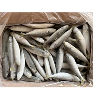 Produits de la mer congelés : Poisson Scad Rond, Scad Queue Jaune, Scad Rond de petite taille, Scad Rond à petits yeux, Scad Rond de pêche légère