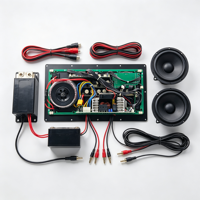 Carte d'amplificateur audio numérique DSP 5.0 Classe D, module PCBA d'amplificateur de puissance pour enceinte