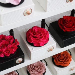 Lussuosa Scatola Musicale con Rosa Eterna Preservata, Copertura in Vetro, Altoparlante Bluetooth e Luce, per San Valentino, Festa della Mamma, Laurea - Product Image 5
