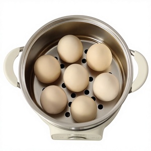 Cocedor de Huevos Rápido NutriCook para Cocina, Capacidad para 7 Huevos, Acero Inoxidable, Apagado Automático, Hervidor de Huevos Eléctrico para Huevos Cocidos, Escalfados o Batidos - Product Image 5