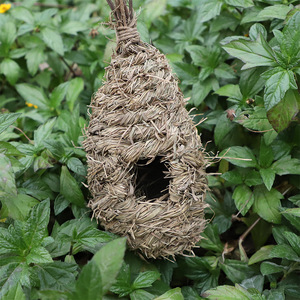 Nid d'oiseau en paille fait main, elliptique, taille moyenne, pour oiseaux de compagnie, décoration de jardin, artisanat du Fujian - Product Image 1