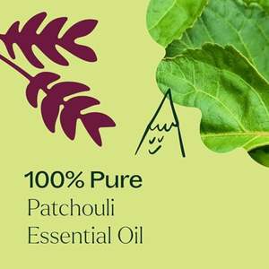 Olio di Patchouli 100% Puro di Grado Terapeutico 10ml, Kit OEM per Aromaterapia, Olio Erboristico per la Salute e Deodorante per Ambienti - Product Image 5