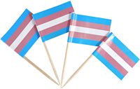 Transseksüel Gökkuşağı Bayrağı Kürdan Ahşap Cupcake Toppers Parti Dekorasyonu için Mini Bayrak Çubuğu Yeni
