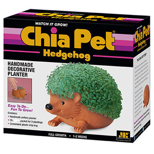 Kit completo de crecimiento de plantas, para mascotas, <span class=keywords><strong>chia</strong></span>, erizo - Product Image 6