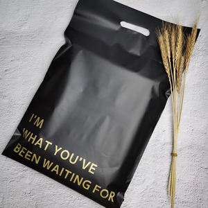 Bolsas de Envío de Polietileno Rojas Biodegradables, Sobres de Polietileno, Bolsas de Correo, Bolsas de Envío para Ropa - Product Image 6