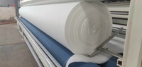 Rouleau de tissu géotextile non tissé en polyester, résistant aux déchirures, anti-âge, écologique, pour la construction routière, le drainage et l'aménagement paysager