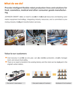 Bras robotique d'emballage pour ligne d'assemblage en usine - Manipulateur intelligent à deux axes parallèles, outil d'automatisation haut de gamme - Product Image 5