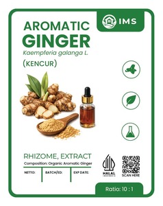 Extrait de gingembre aromatique de qualité supérieure pour les aliments, les boissons, les compléments alimentaires à base de plantes, les arômes naturels et les produits de bien-être - Product Image 3