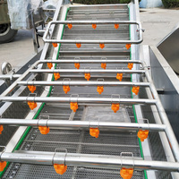 Laveuse de gingembre, équipement de lavage industriel pour fruits et légumes, machine de nettoyage et de séchage pour dattes, raisins et poissons, machine à laver les légumes