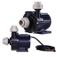 Melampaui pompa pendorong magnetis DC frekuensi variabel TDM Motor elektrik 12V 48V pompa sentrifugal untuk industri kimia