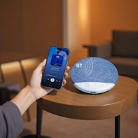 Altavoz de Almohada para Noches Tranquilas, Forma Curva Ergonómica, Modo Altavoz para Dormir, Comodidad Debajo de la Almohada