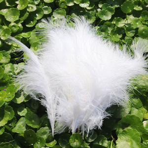 Plumes de marabout de dinde blanches, violettes et noires de la meilleure qualité, en guirlande, pour la confection de costumes - Product Image 4