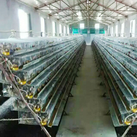 Cage pour caille les oiseaux chinois, 9 grilles, zone d'élevage d'œufs, cage d'élevage commerciale, pour cailles