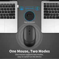 Souris BT 2.4G sans fil rechargeable, souris de jeu pour ordinateur, chargement fin et portable, 3 DPI réglables pour Mac, iPad, PC