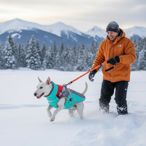 Veste rembourrée en coton pour animaux de compagnie, bleu ciel et rouge, manteau coupe-vent d'hiver pour chien, vêtements pour chiot, vêtements d'extérieur épais et chauds pour temps froid - Product Image 1