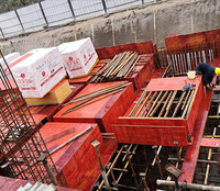 Contreplaqué de coffrage rigide durable multicouche pour les entrepreneurs en travaux publics, commande en gros pour l'exportation